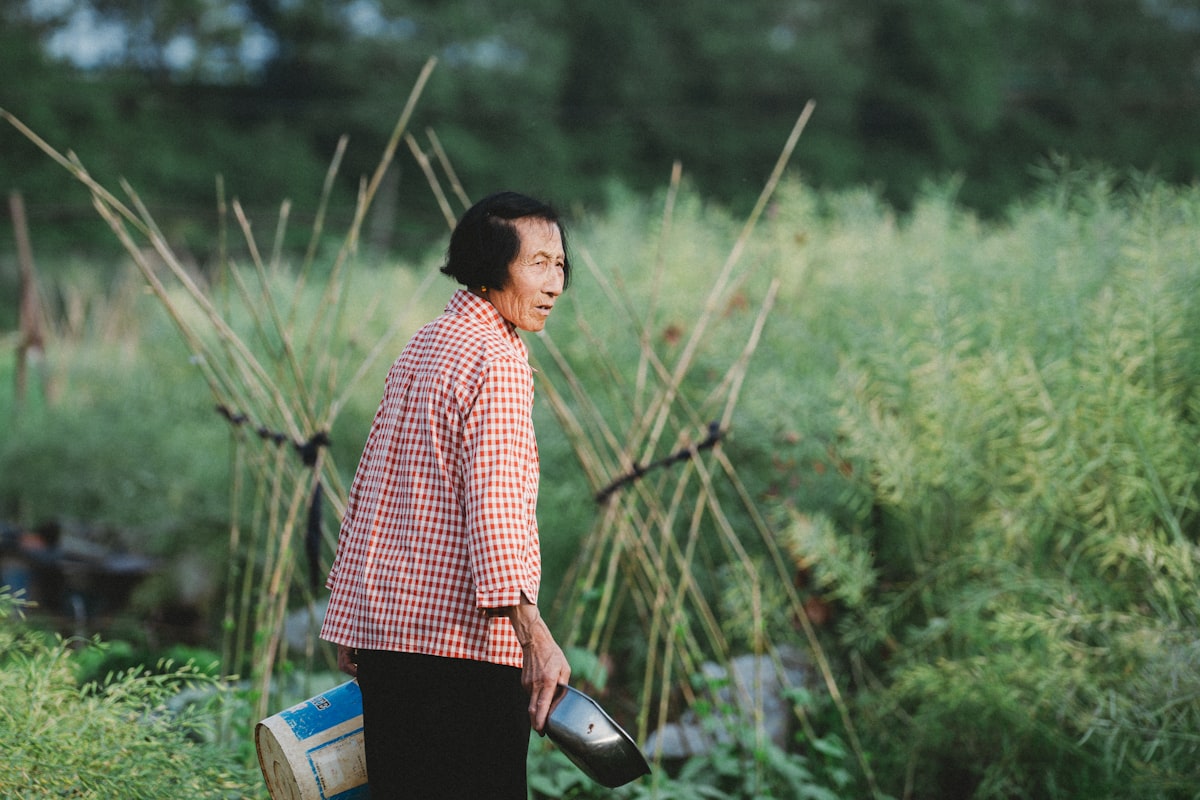 Traditional herbal preparations and remedies